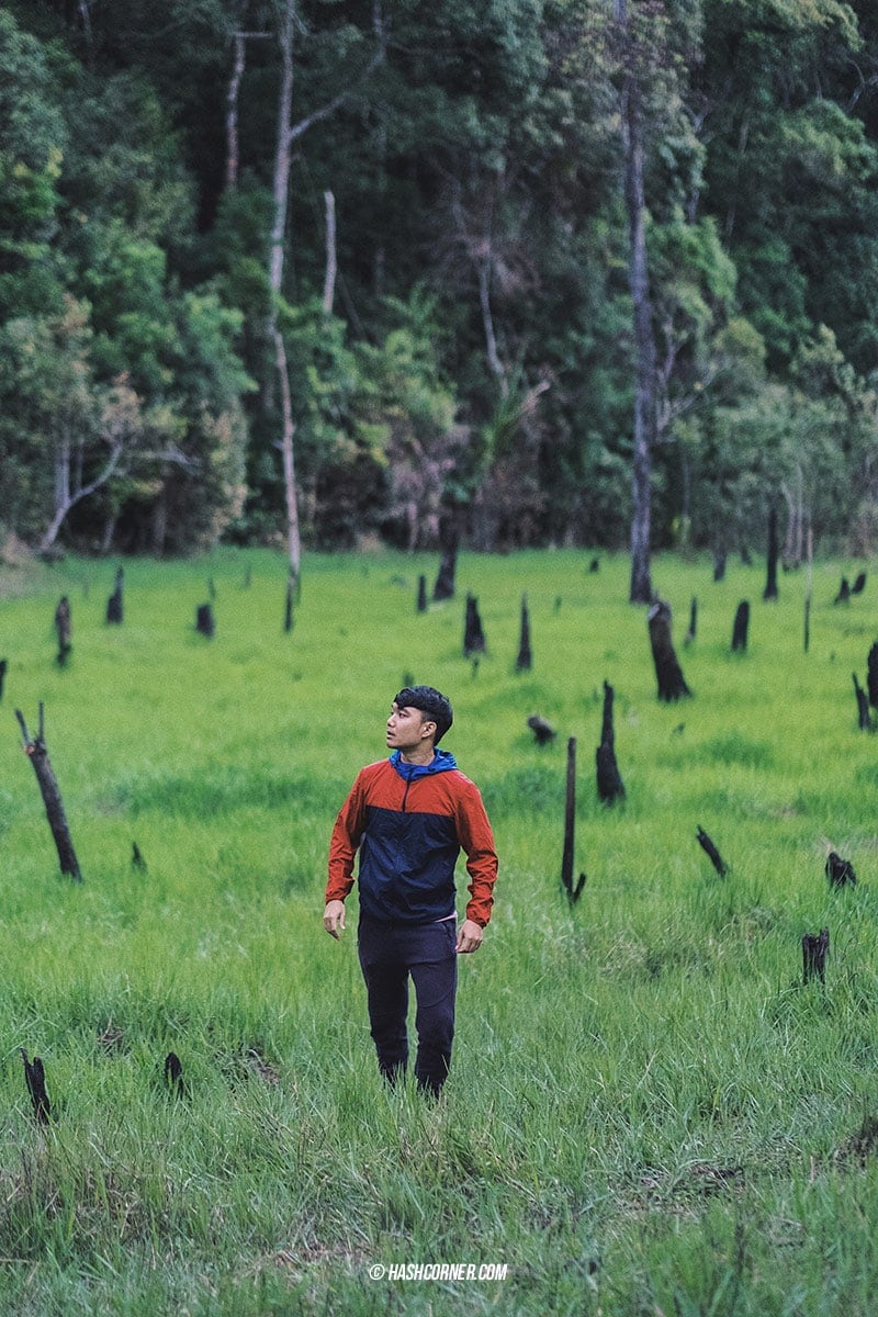 Da Lat x Vietnam : The Charming Instagramable City