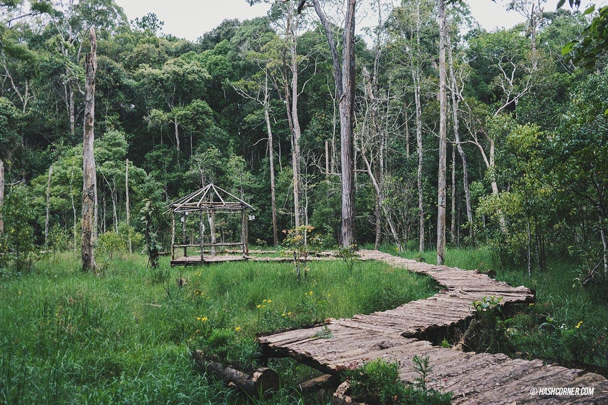 Da Lat x Vietnam : The Charming Instagramable City