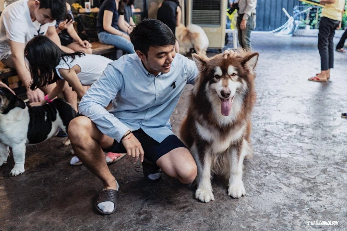 Dog Cafe Hopping : 3 คาเฟ่หมา เก๋กู๊ดสุดในกรุงเทพ