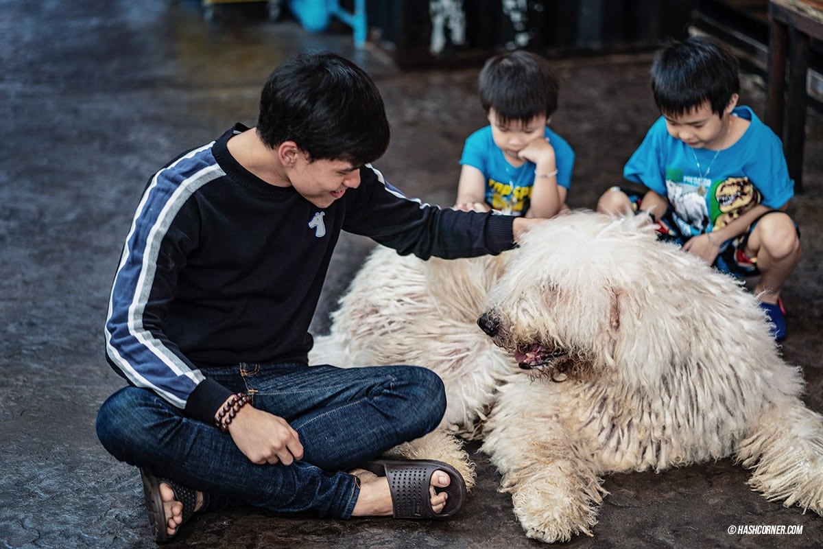 Dog Cafe Hopping : 3 คาเฟ่หมา เก๋กู๊ดสุดในกรุงเทพ