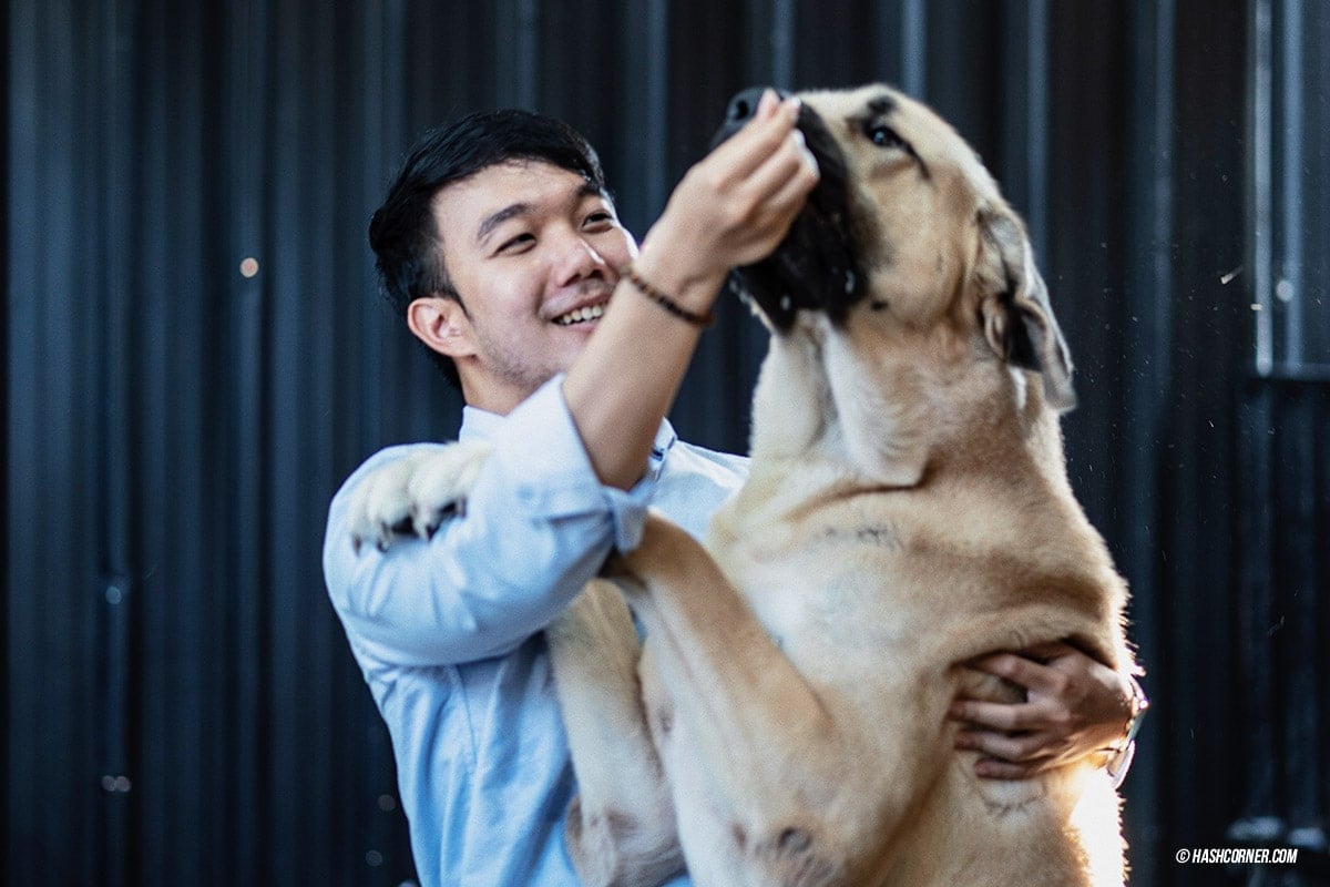 Dog Cafe Hopping : 3 คาเฟ่หมา เก๋กู๊ดสุดในกรุงเทพ
