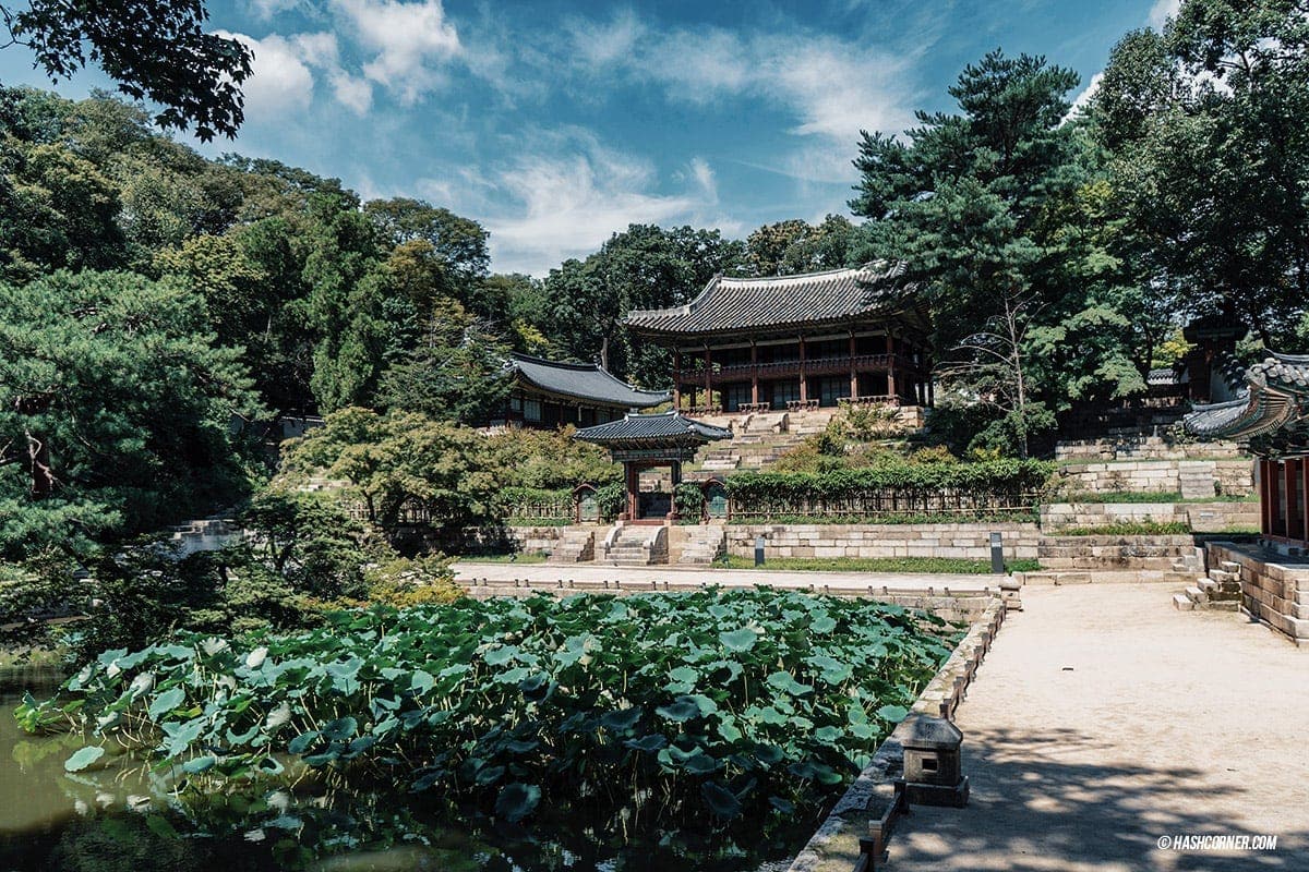 Seoul x South Korea : First-time Itinerary &#038; Things To Do