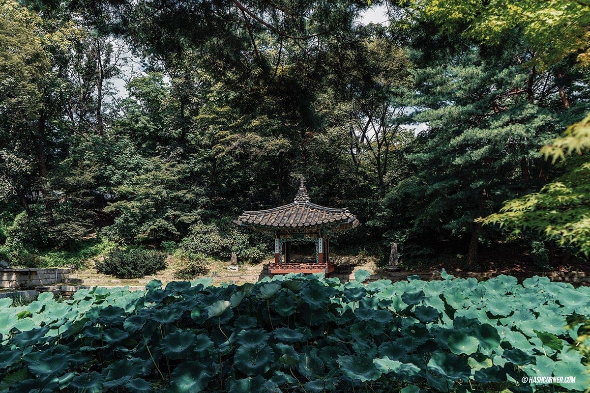 Seoul x South Korea : First-time Itinerary &#038; Things To Do