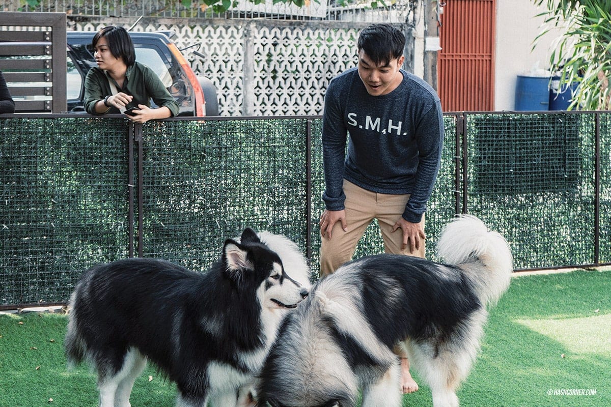 Dog Cafe Hopping : 3 คาเฟ่หมา เก๋กู๊ดสุดในกรุงเทพ