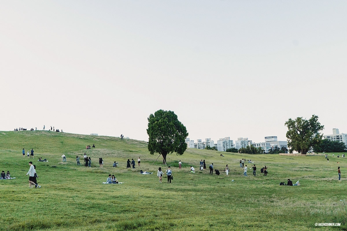 Seoul x South Korea : First-time Itinerary &#038; Things To Do