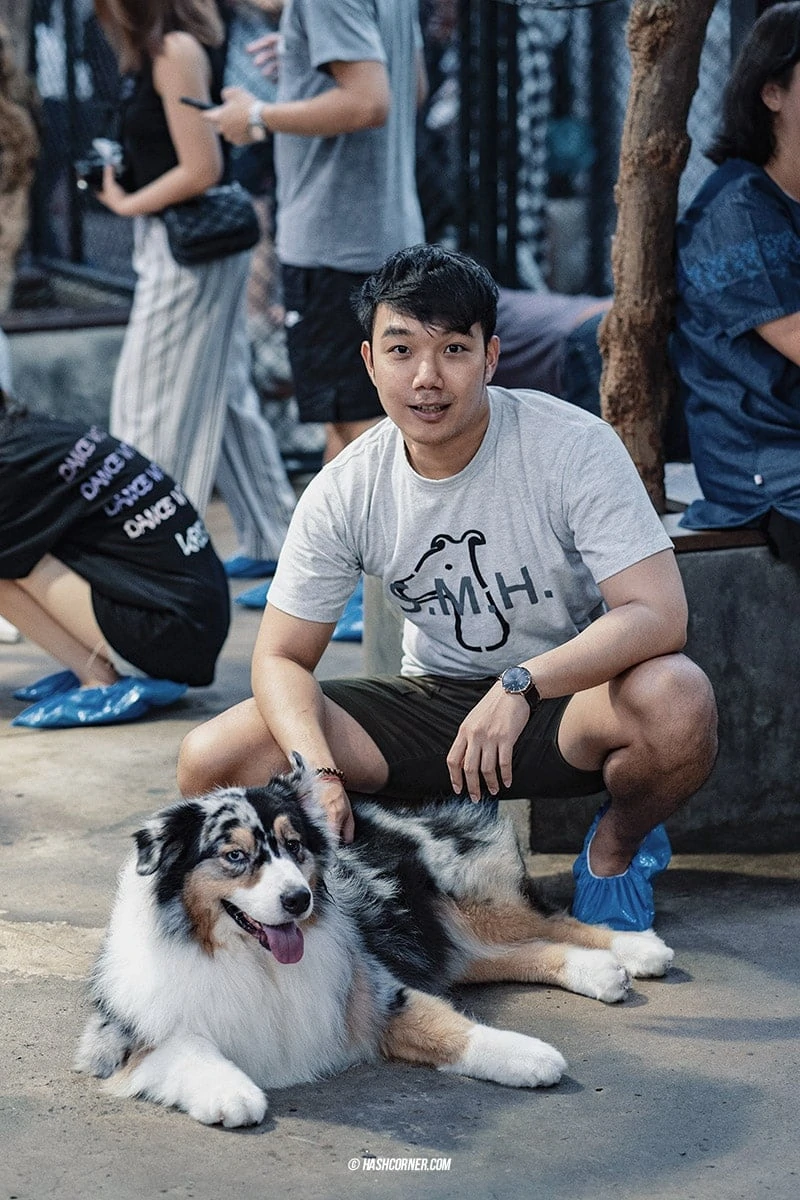 Dog Cafe Hopping : 3 คาเฟ่หมา เก๋กู๊ดสุดในกรุงเทพ
