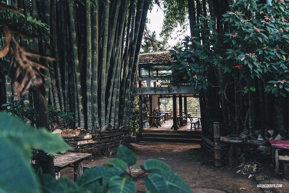รีวิว ปางอุ๋ง x แม่ฮ่องสอน : ธรรมชาติเมืองสามหมอก