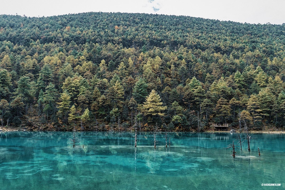 รีวิว ลี่เจียง (Lijiang) เที่ยวจีน ต้องเที่ยวให้สุด!