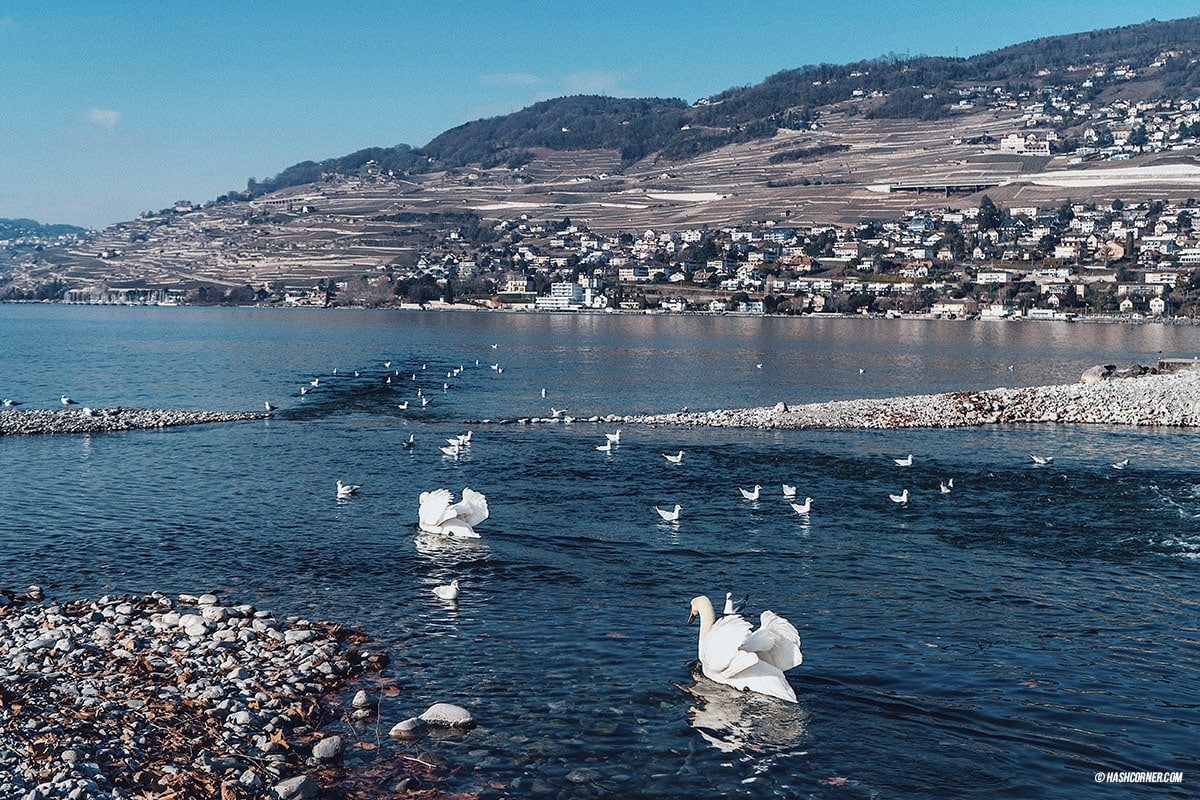 รีวิว เวอแว (Vevey) x สวิตเซอร์แลนด์