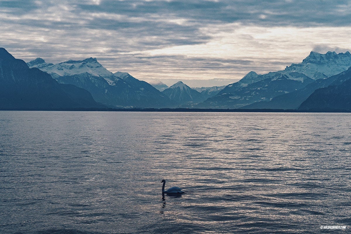 รีวิว เวอแว (Vevey) x สวิตเซอร์แลนด์