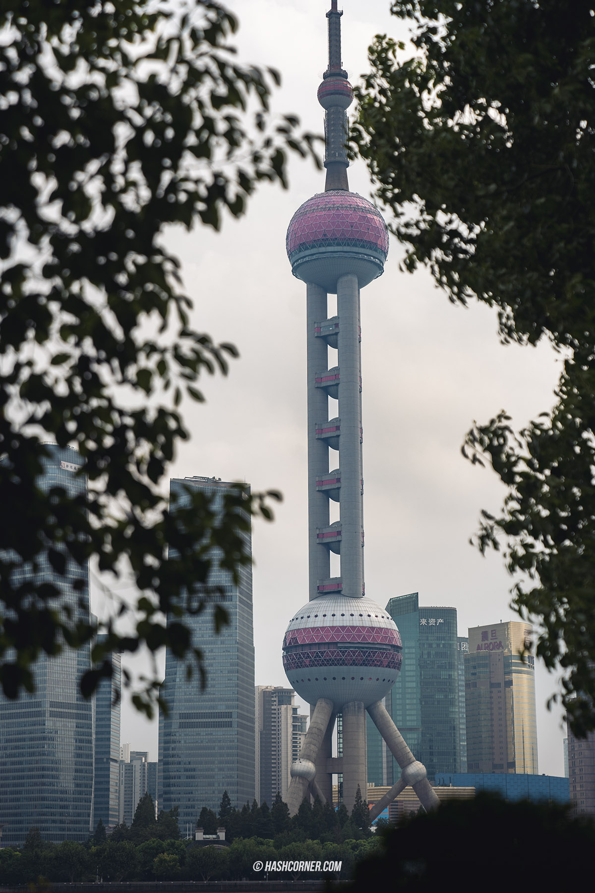 รีวิว เซี่ยงไฮ้ (Shanghai) x จีน ครบจัดเต็ม 35 ที่เที่ยว