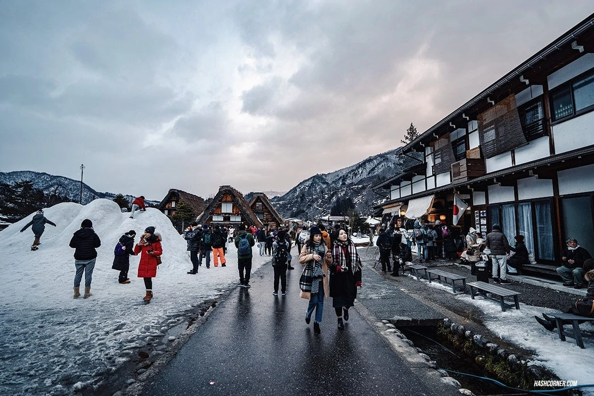 Shirakawa-go Winter Light Up : Japan Travel Guide