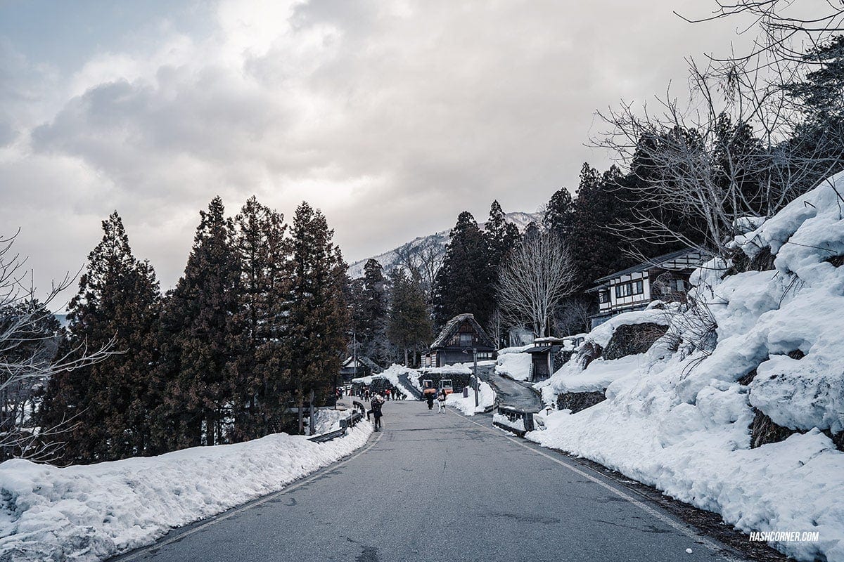 Shirakawa-go Winter Light Up : Japan Travel Guide