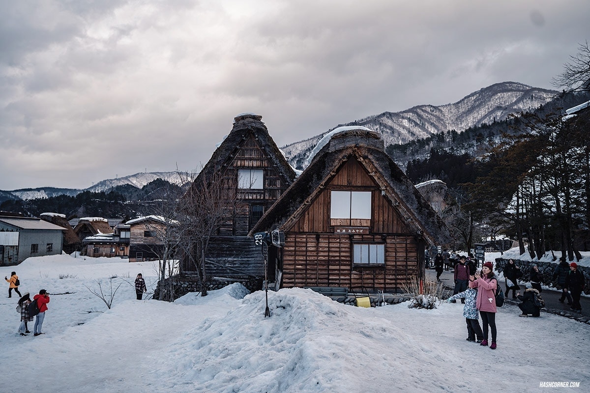 Shirakawa-go Winter Light Up : Japan Travel Guide