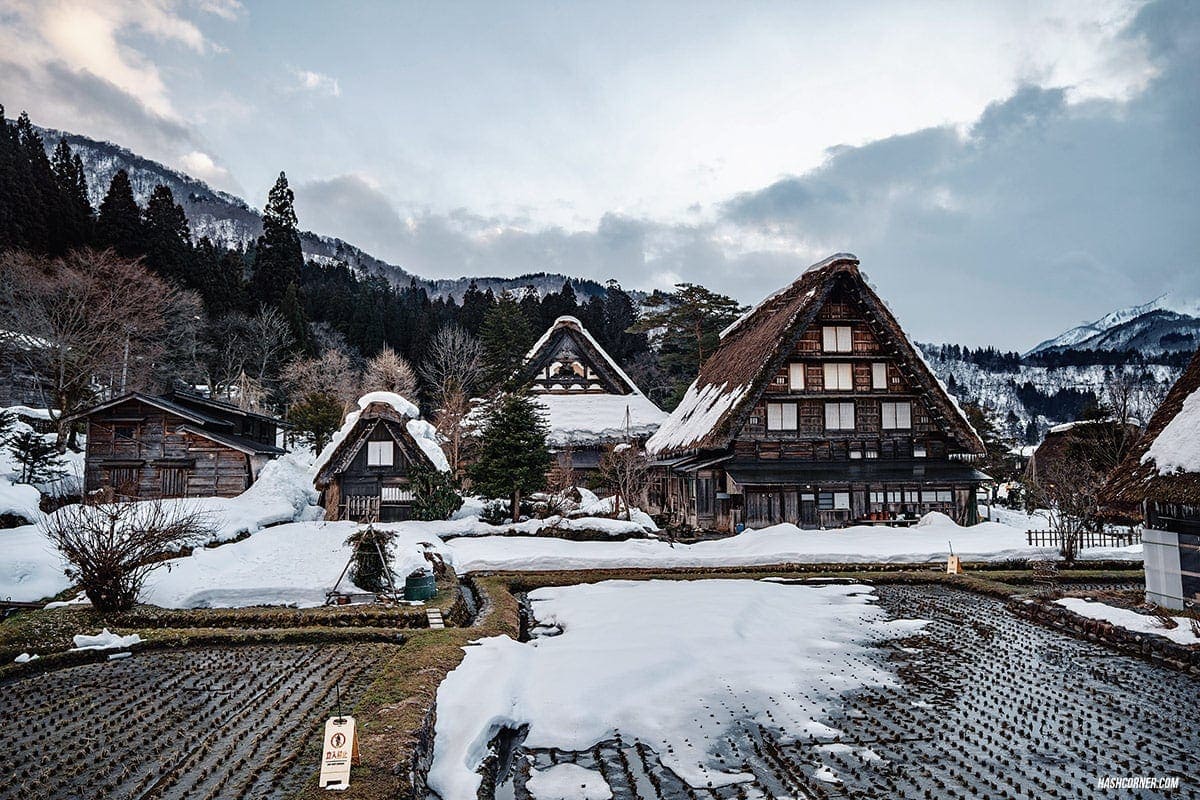 Shirakawa-go Winter Light Up : Japan Travel Guide