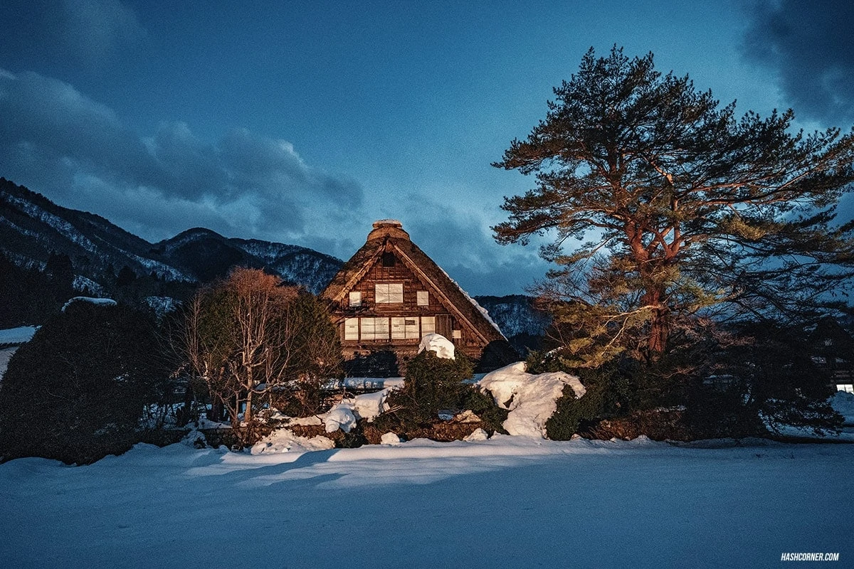 Shirakawa-go Winter Light Up : Japan Travel Guide