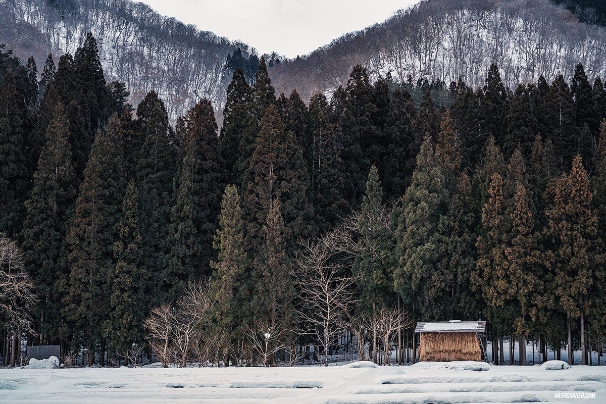 Shirakawa-go Winter Light Up : Japan Travel Guide