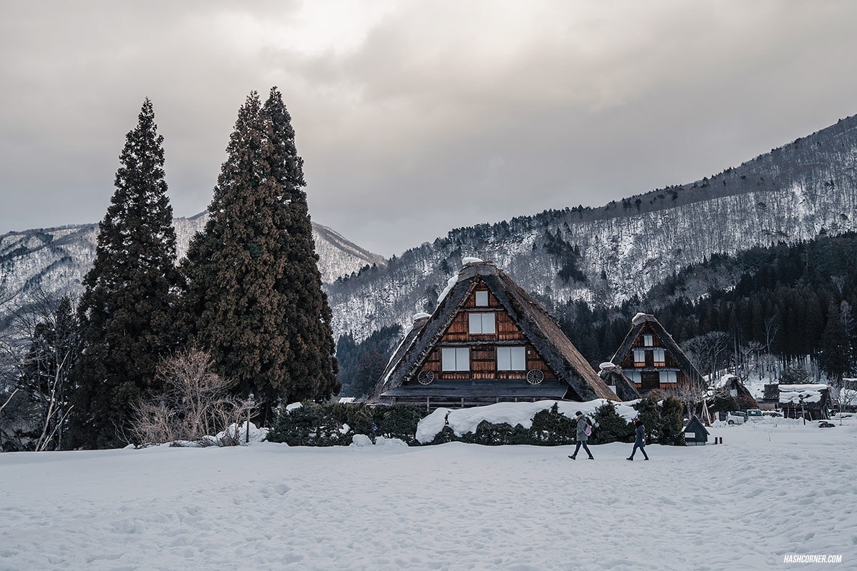 Shirakawa-go Winter Light Up : Japan Travel Guide
