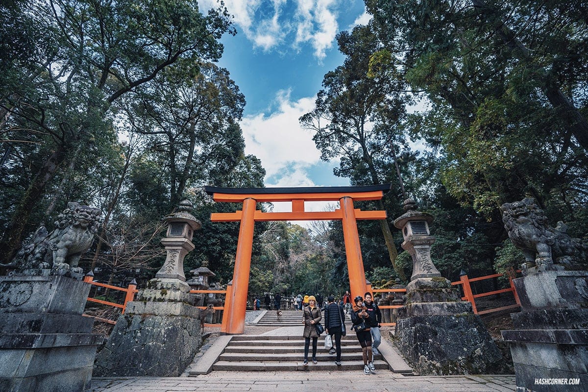 รีวิว นารา (Nara) x คันไซ ญี่ปุ่นสไตล์เที่ยวเก่ง