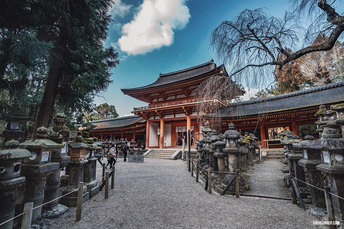 รีวิว นารา (Nara) x คันไซ ญี่ปุ่นสไตล์เที่ยวเก่ง