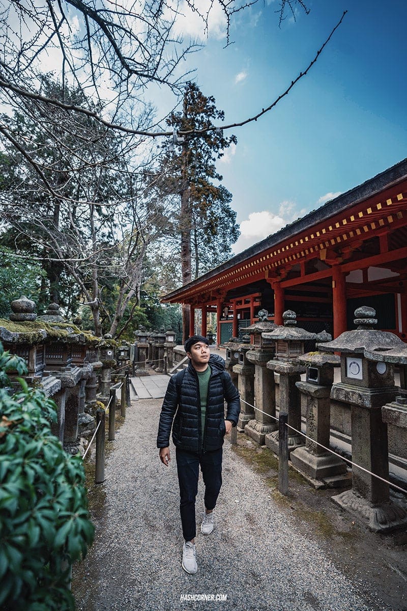 รีวิว นารา (Nara) x คันไซ ญี่ปุ่นสไตล์เที่ยวเก่ง