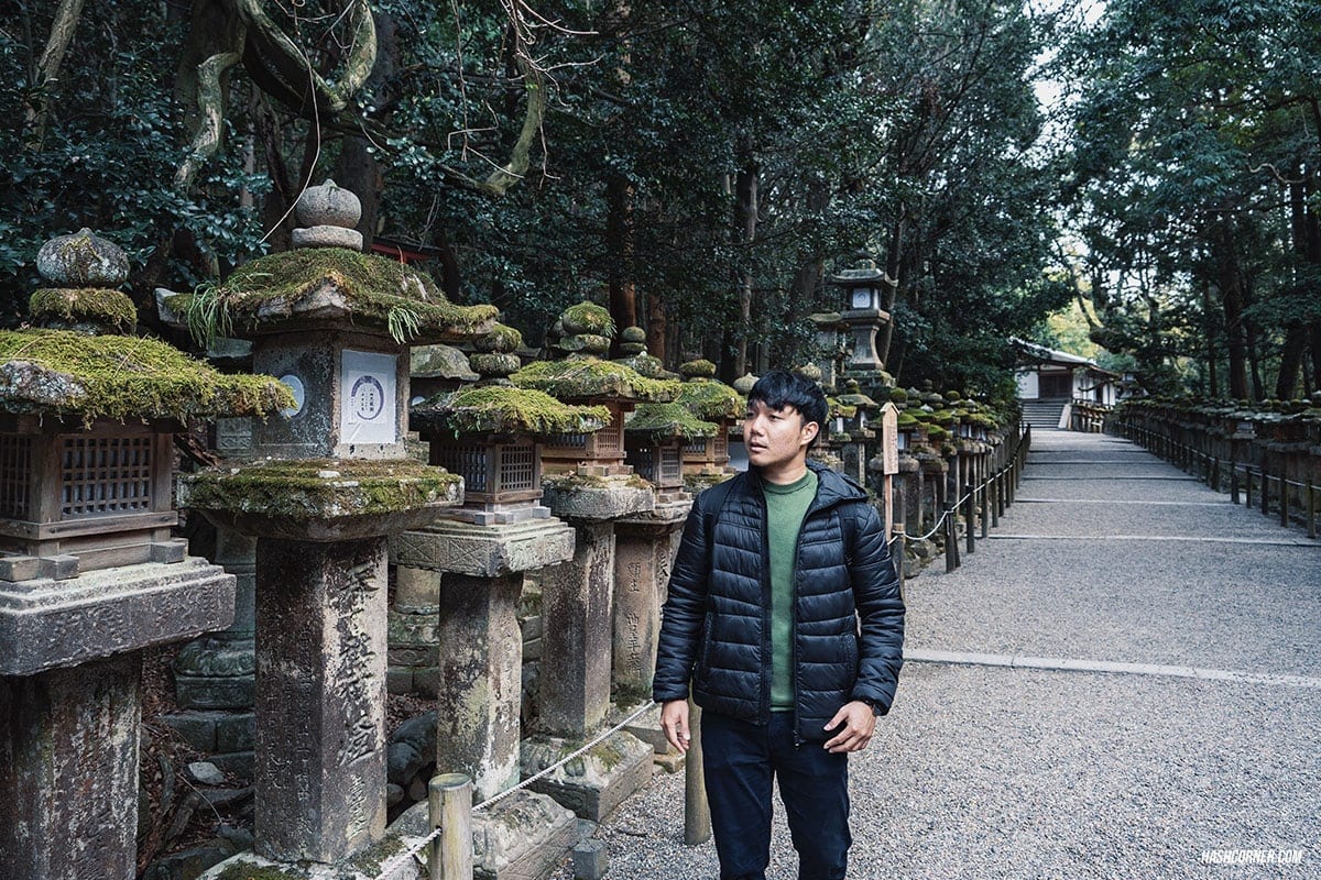 รีวิว นารา (Nara) x คันไซ ญี่ปุ่นสไตล์เที่ยวเก่ง