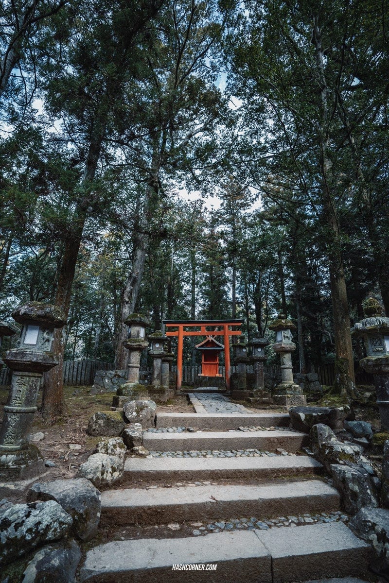 รีวิว นารา (Nara) x คันไซ ญี่ปุ่นสไตล์เที่ยวเก่ง