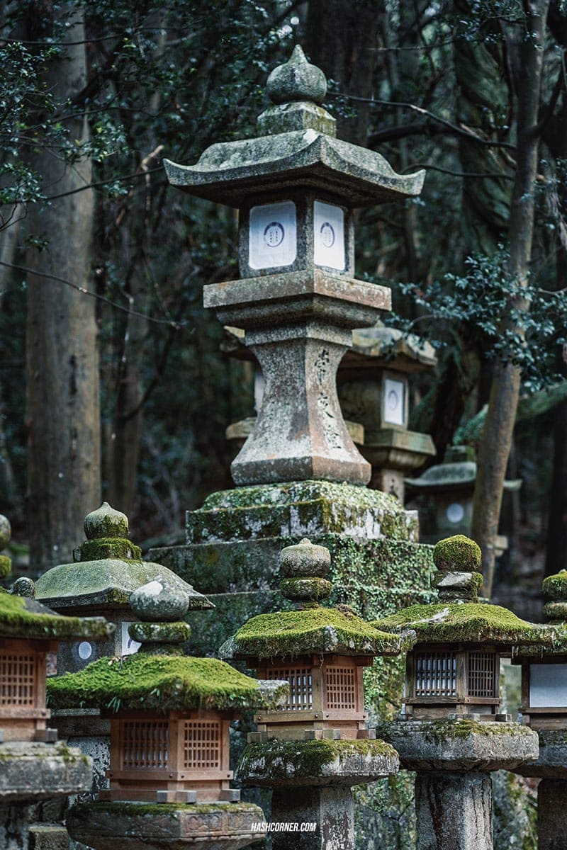 รีวิว นารา (Nara) x คันไซ ญี่ปุ่นสไตล์เที่ยวเก่ง