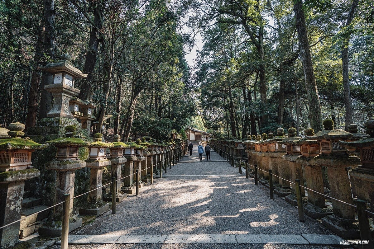 รีวิว นารา (Nara) x คันไซ ญี่ปุ่นสไตล์เที่ยวเก่ง
