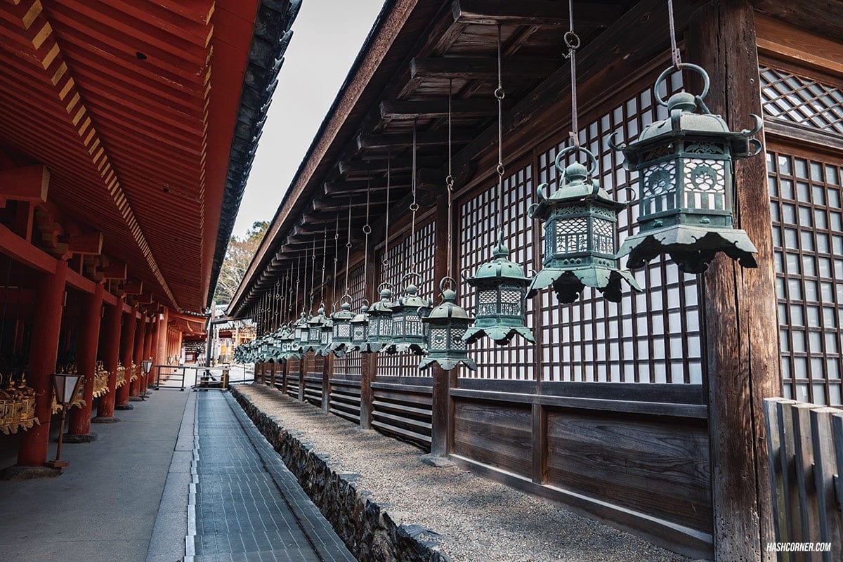 รีวิว นารา (Nara) x คันไซ ญี่ปุ่นสไตล์เที่ยวเก่ง