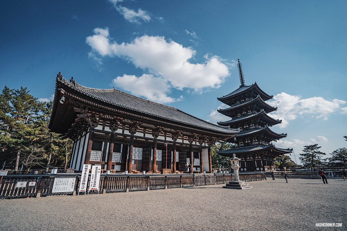 รีวิว นารา (Nara) x คันไซ ญี่ปุ่นสไตล์เที่ยวเก่ง