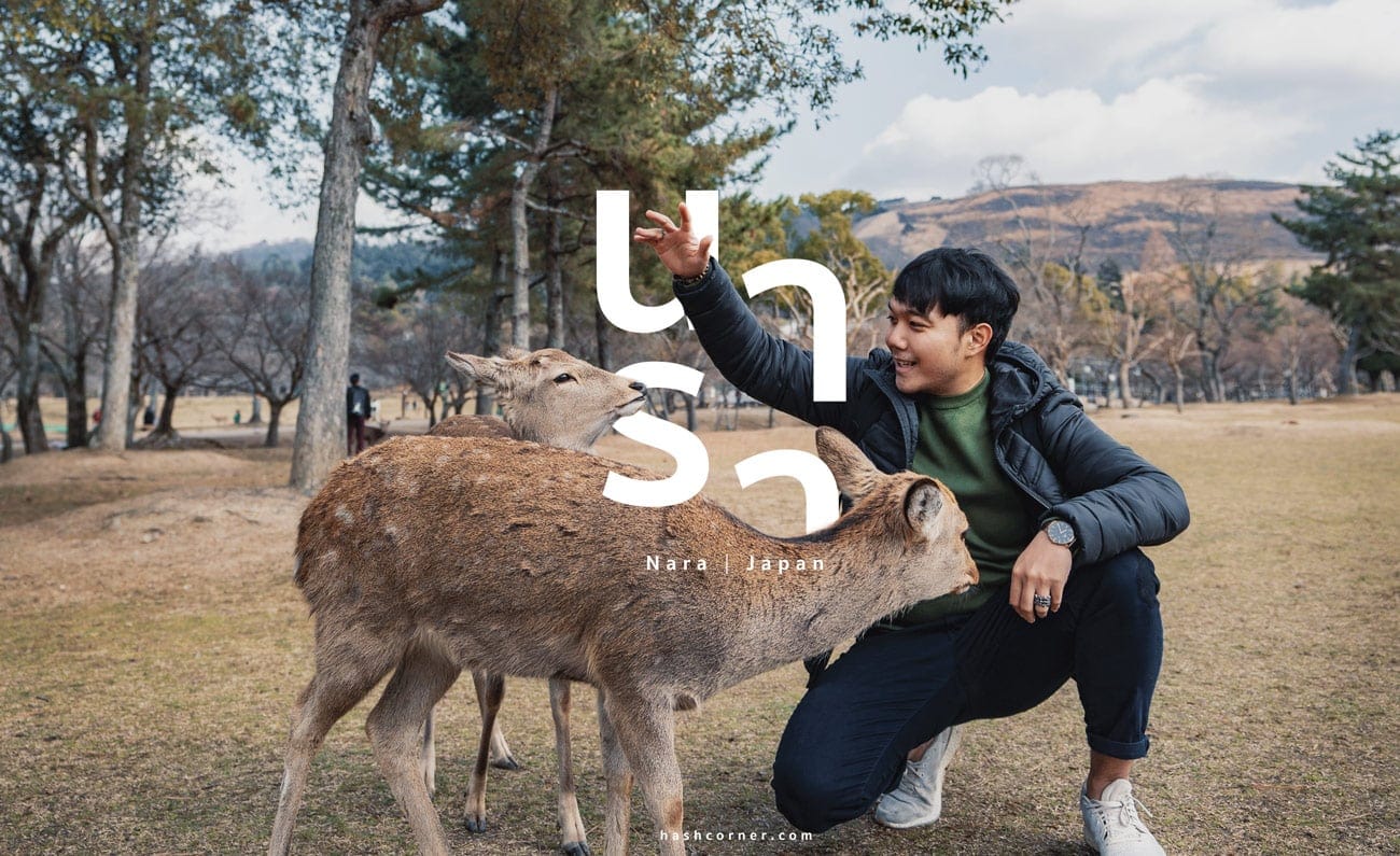 รีวิว นารา (Nara) x คันไซ ญี่ปุ่นสไตล์เที่ยวเก่ง