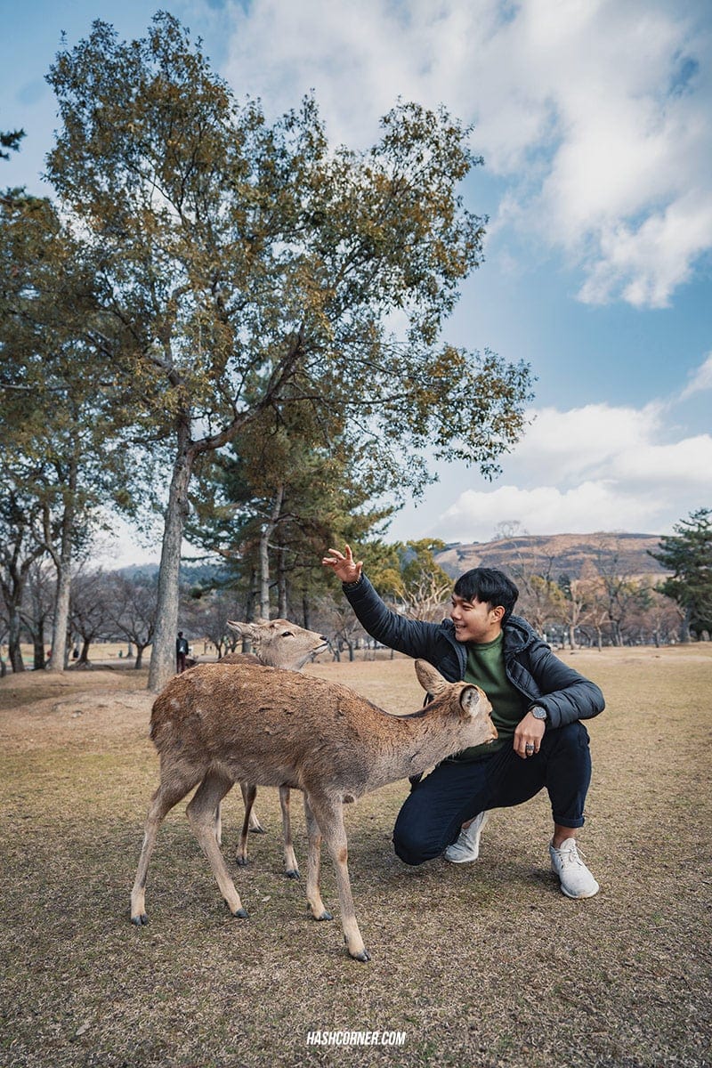 รีวิว นารา (Nara) x คันไซ ญี่ปุ่นสไตล์เที่ยวเก่ง