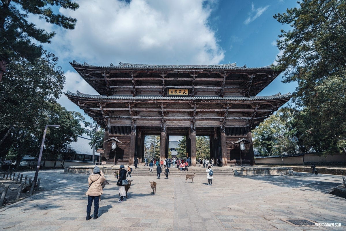 รีวิว นารา (Nara) x คันไซ ญี่ปุ่นสไตล์เที่ยวเก่ง