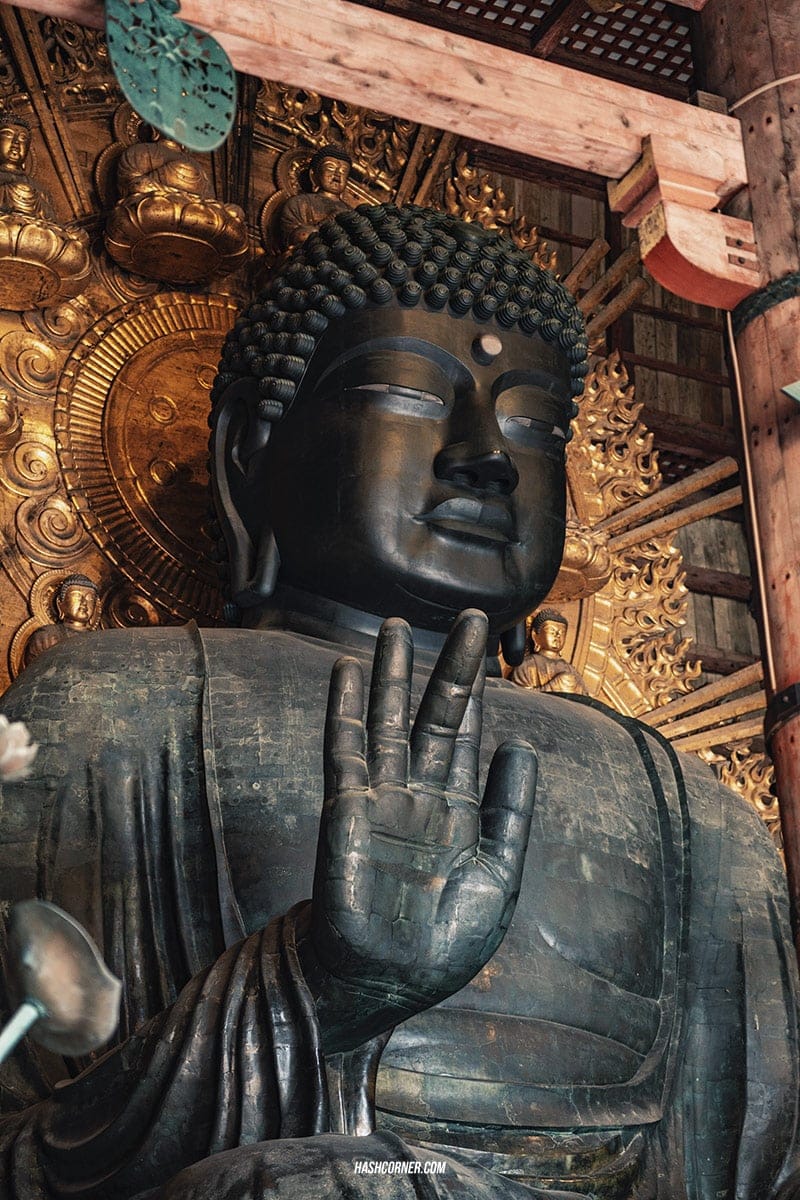 รีวิว นารา (Nara) x คันไซ ญี่ปุ่นสไตล์เที่ยวเก่ง