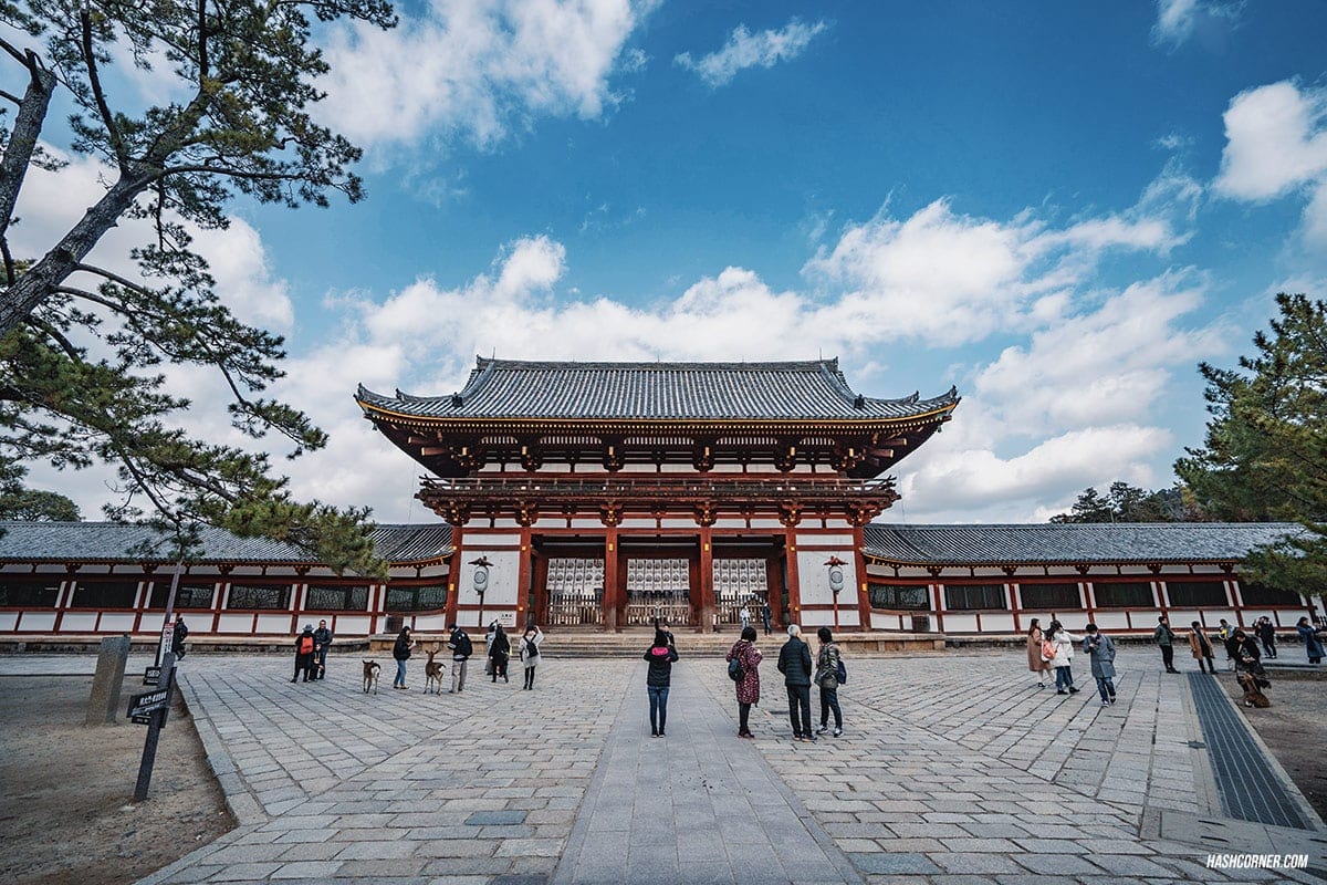 รีวิว นารา (Nara) x คันไซ ญี่ปุ่นสไตล์เที่ยวเก่ง