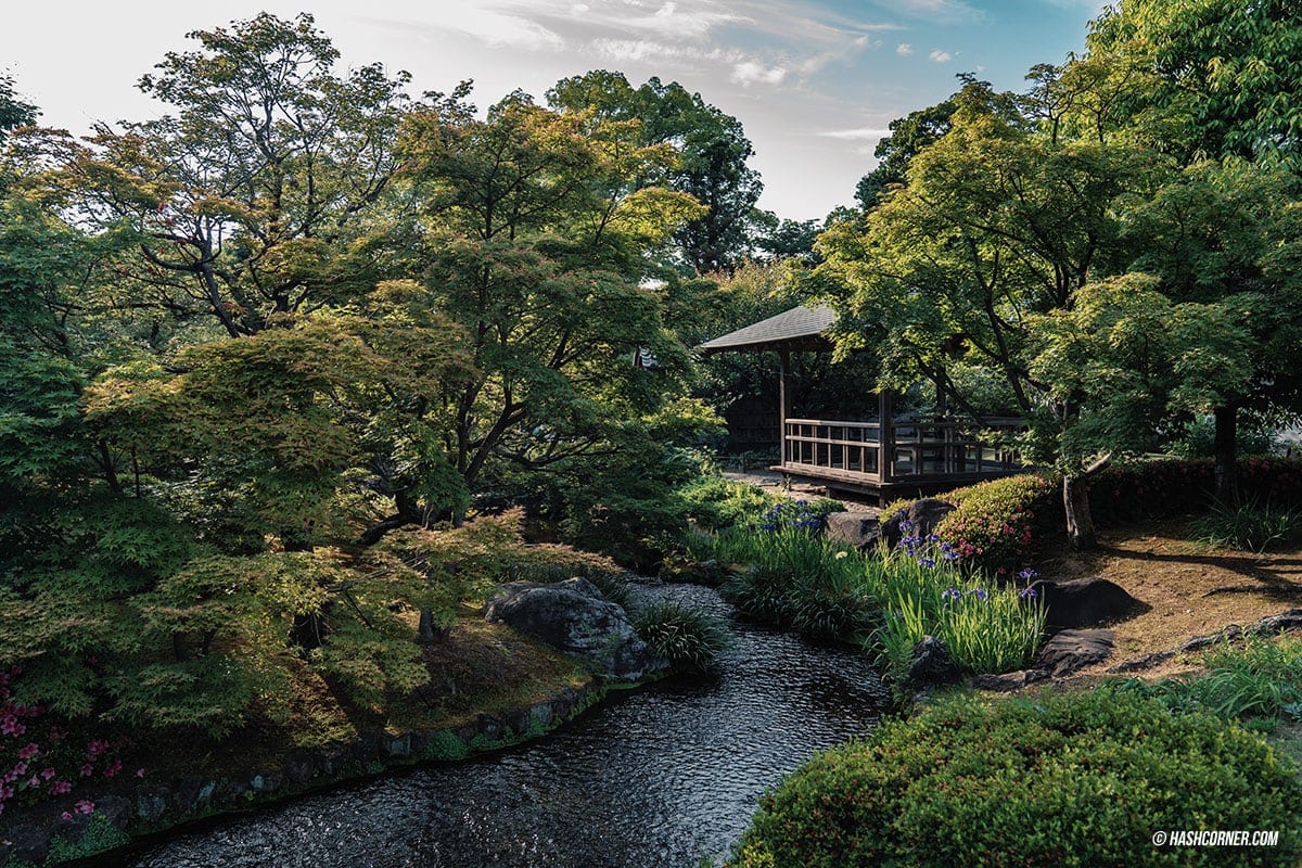 รีวิว ฮิเมจิ (Himeji) x คันไซ เมืองปราสาทยืนหนึ่ง