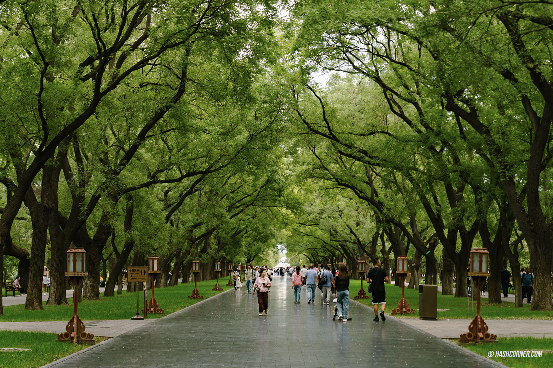 รีวิว ปักกิ่ง (Beijing) x จีน เที่ยวครบเก็บทุกแลนด์มาร์ค 