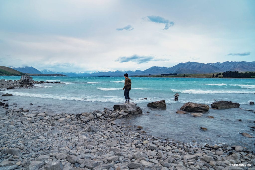 รีวิว ทะเลสาบเทคาโป (Lake Tekapo) เที่ยวเกาะใต้ นิวซีแลนด์