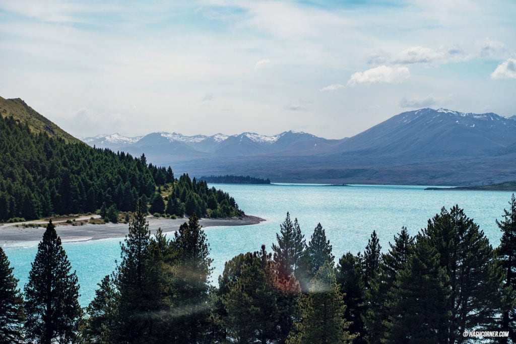 รีวิว ทะเลสาบเทคาโป (Lake Tekapo) เที่ยวเกาะใต้ นิวซีแลนด์