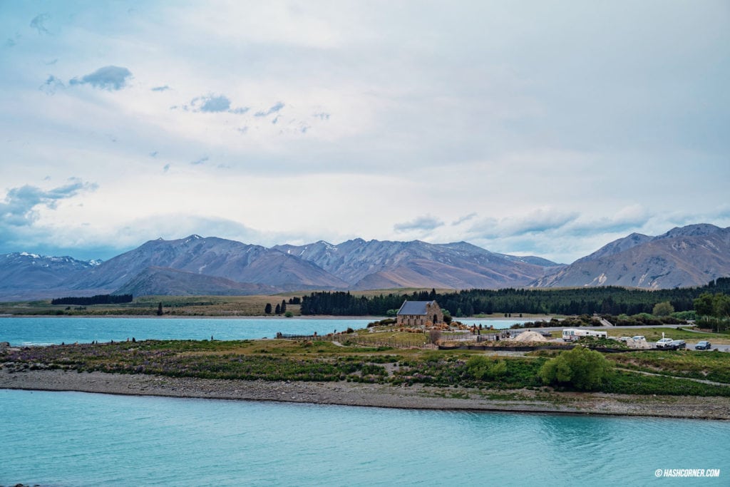 รีวิว ทะเลสาบเทคาโป (Lake Tekapo) เที่ยวเกาะใต้ นิวซีแลนด์