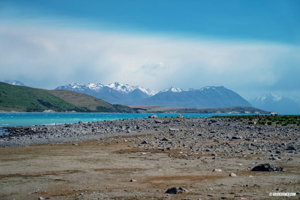 รีวิว ทะเลสาบเทคาโป (Lake Tekapo) เที่ยวเกาะใต้ นิวซีแลนด์