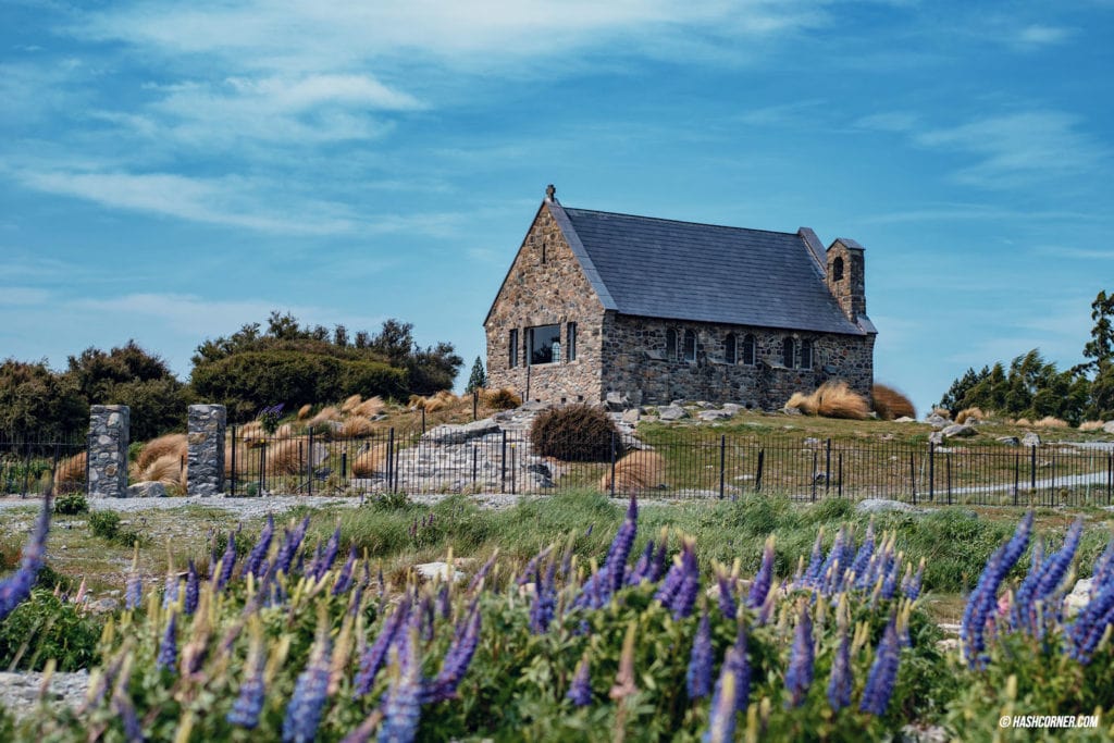 รีวิว ทะเลสาบเทคาโป (Lake Tekapo) เที่ยวเกาะใต้ นิวซีแลนด์