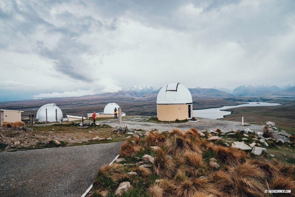 รีวิว ทะเลสาบเทคาโป (Lake Tekapo) เที่ยวเกาะใต้ นิวซีแลนด์