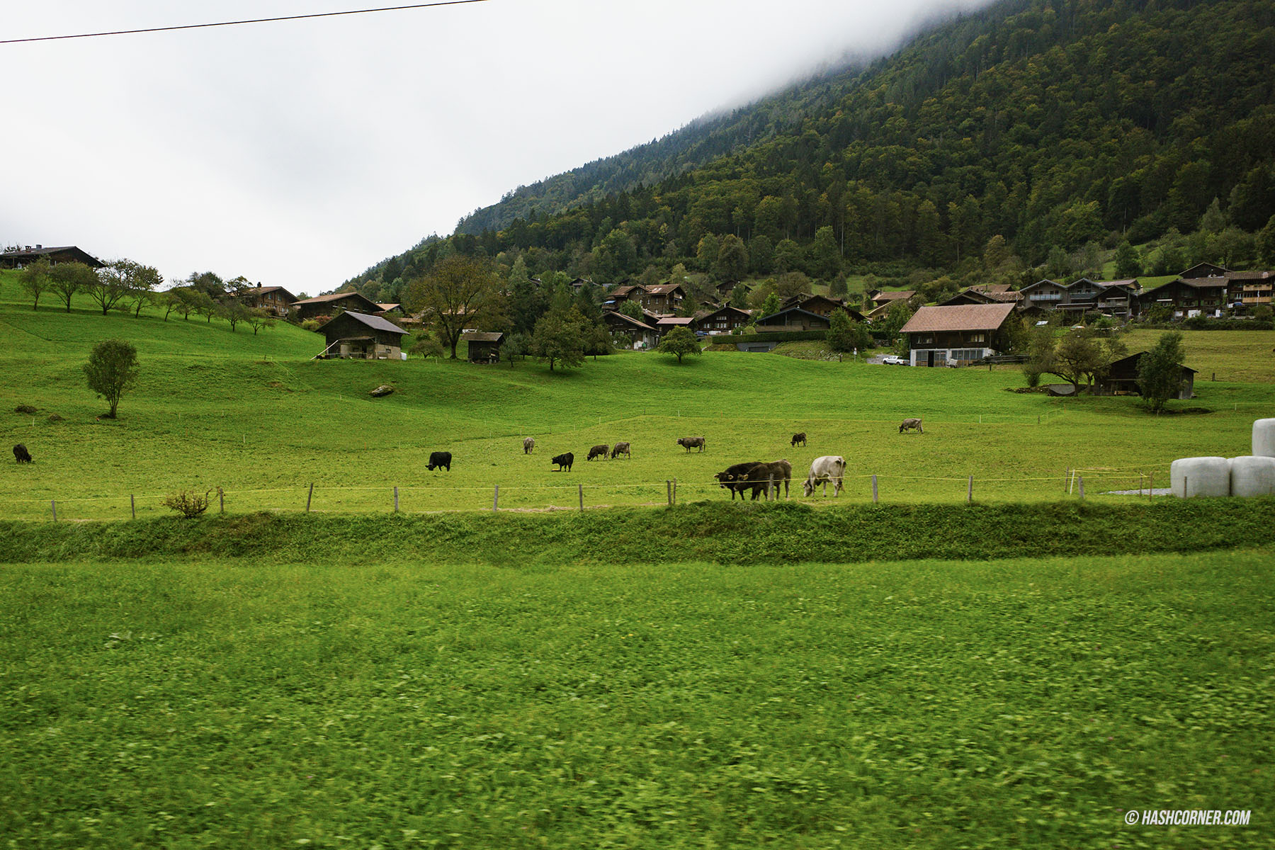 รีวิว อินเทอร์ลาเคิน (Interlaken) x สวิตเซอร์แลนด์ เมืองสองทะเลสาบ