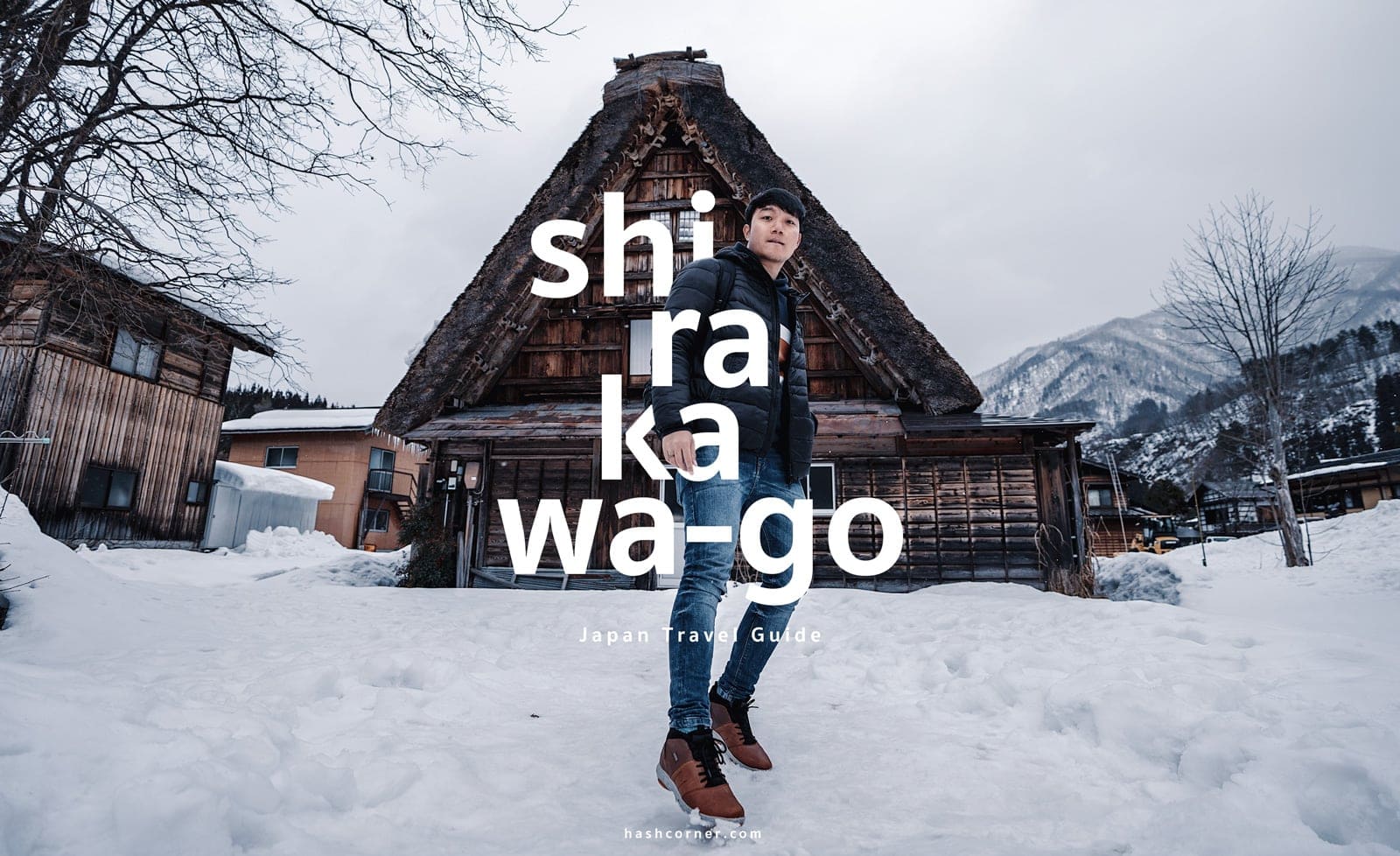 Shirakawa-go Winter Light Up : Japan Travel Guide
