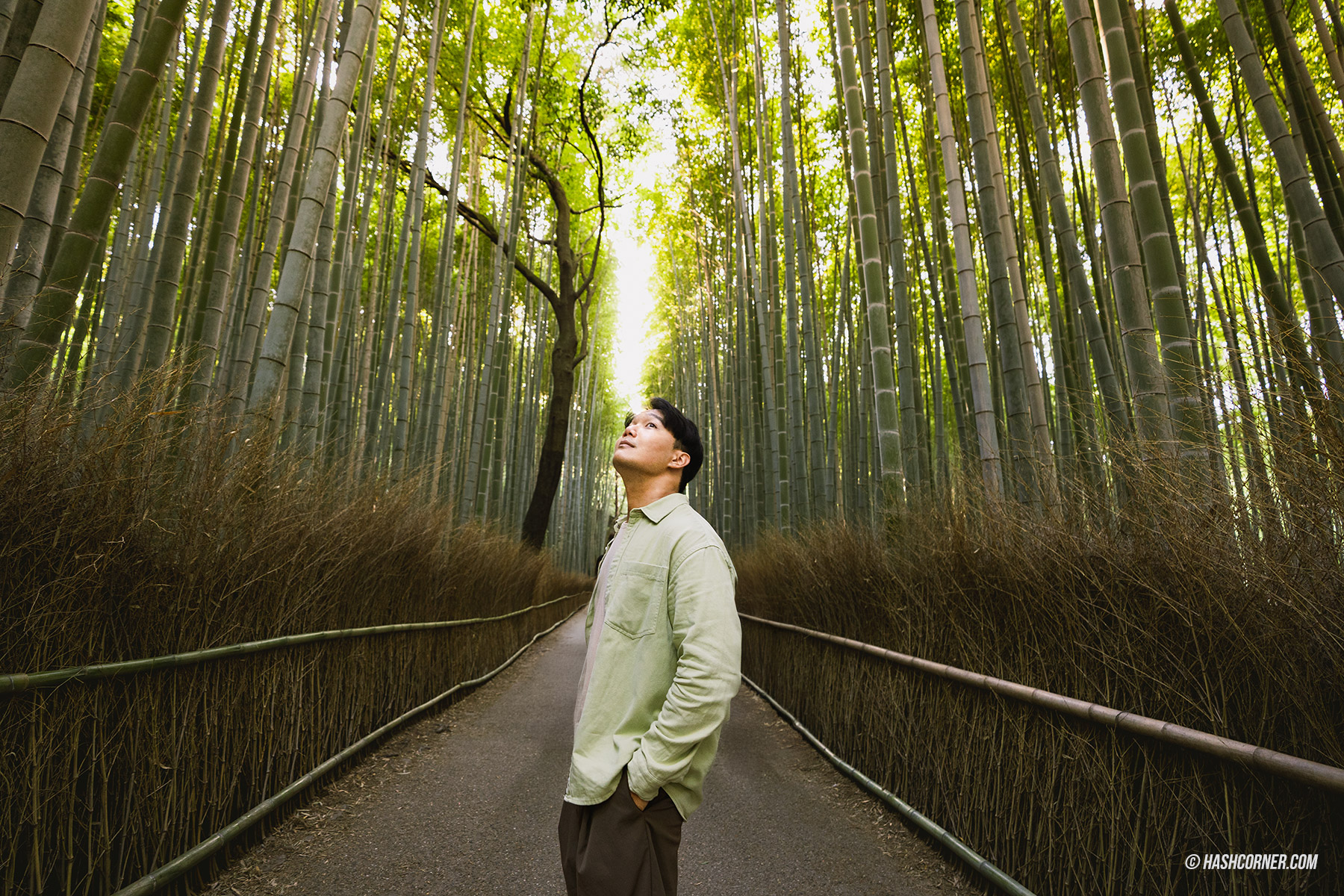 รีวิว เกียวโต (Kyoto) x ญี่ปุ่น เก็บครบ 26 ที่เที่ยว