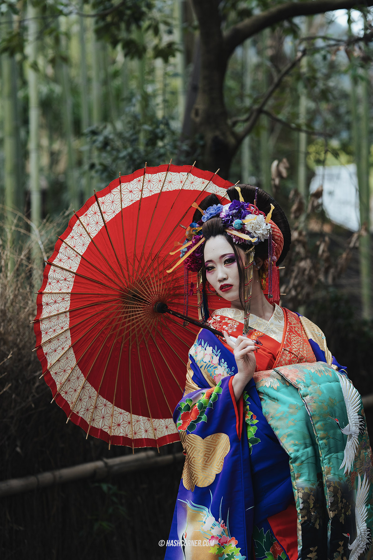 รีวิว เกียวโต (Kyoto) x ญี่ปุ่น เก็บครบ 26 ที่เที่ยว