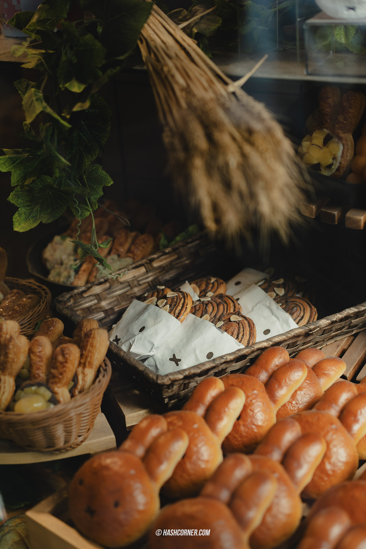 รีวิว เกียวโต (Kyoto) x ญี่ปุ่น เก็บครบ 26 ที่เที่ยว