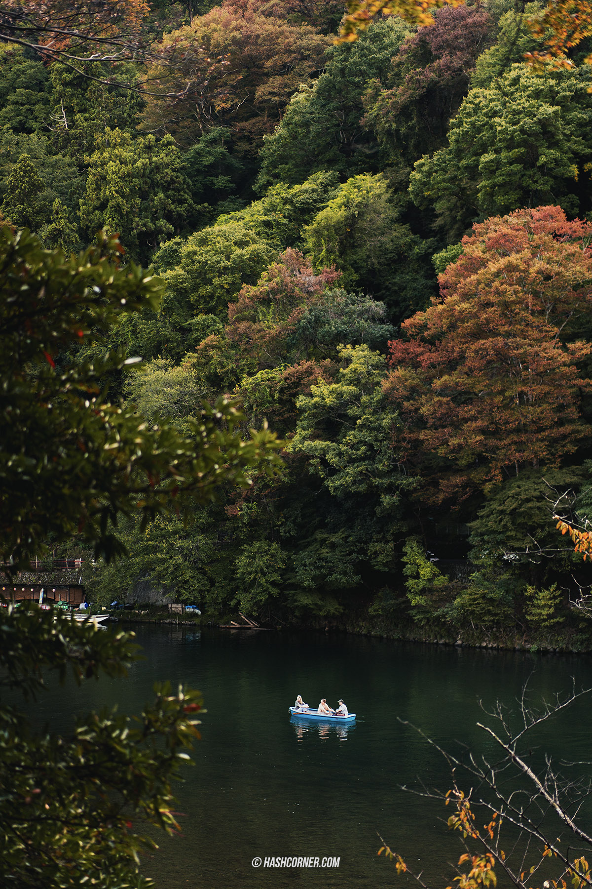 รีวิว เกียวโต (Kyoto) x ญี่ปุ่น เก็บครบ 26 ที่เที่ยว